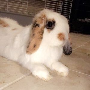 Meet your Posher, Christy